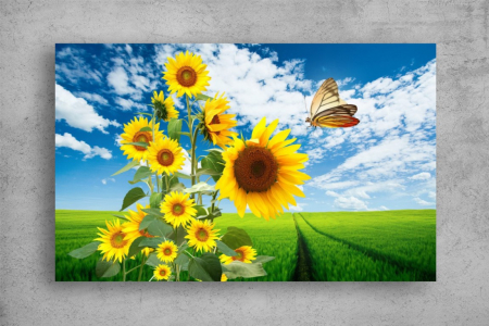 Tablouri Canvas Flori - Tablouri Canvas Flori - Fluture si floarea soarelui