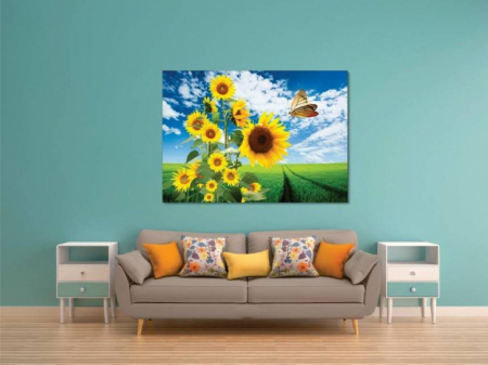 Tablouri Canvas Flori - Fluture si floarea soarelui [1]
