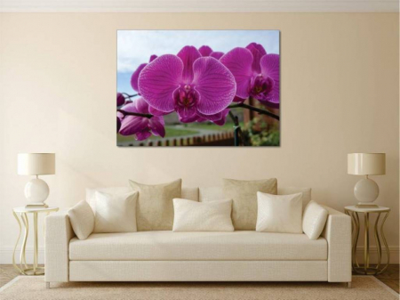 Tablouri Canvas Flori - Orhidee inflorite [1]