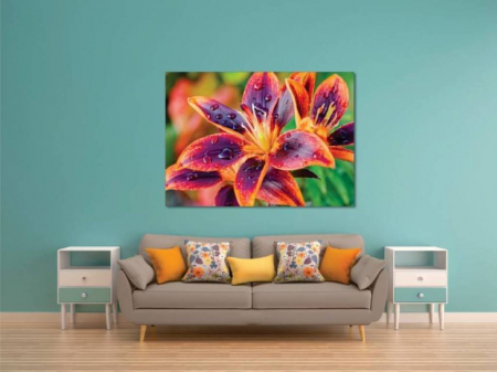 Tablouri Canvas Flori - Picaturi de ploaie [1]