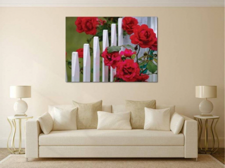 Tablouri Canvas Flori - Trandafiri pe gard [1]
