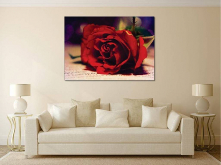 Tablouri Canvas Flori - Trandafirul rosu [1]