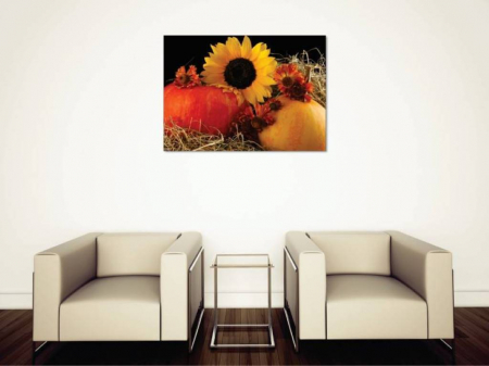 Tablouri Canvas Flori - Ziua recoltei [1]