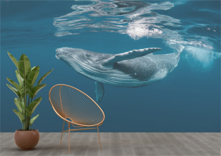 Animale - Tapet Premium Canvas - Balena albastra in apa