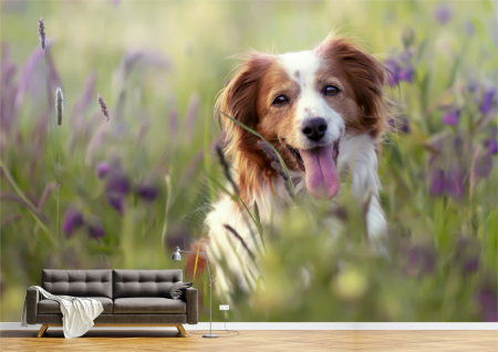 Animale - Tapet Premium Canvas - Cainele alergand printre flori