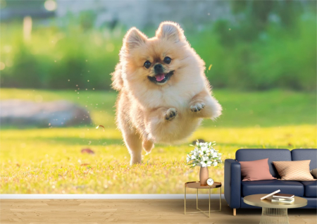 Animale - Tapet Premium Canvas - Cainele fericit in alergare