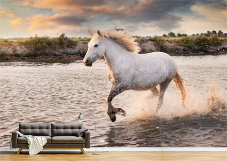 Animale - Tapet Premium Canvas - Calul alb in alergare