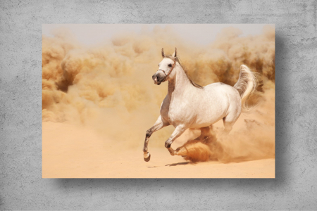 Tapet Premium Canvas - Calul alb in desert [1]