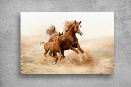 Tapet Premium Canvas - Calul si manzul [1]
