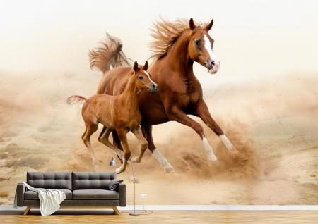 Animale - Tapet Premium Canvas - Calul si manzul