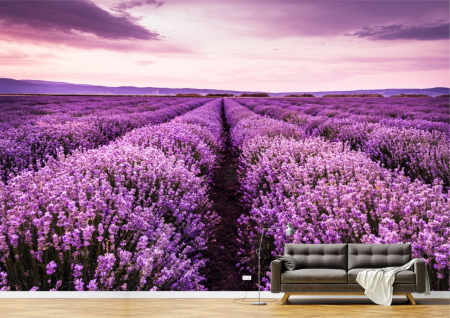 Peisaje - Tapet Premium Canvas - Campul de lavanda inflorita