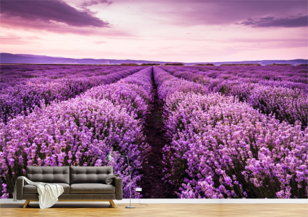 Flori - Tapet Premium Canvas - Campul de lavanda la apus
