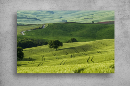 Tapet Premium Canvas - Campul verde la miezul zilei [1]
