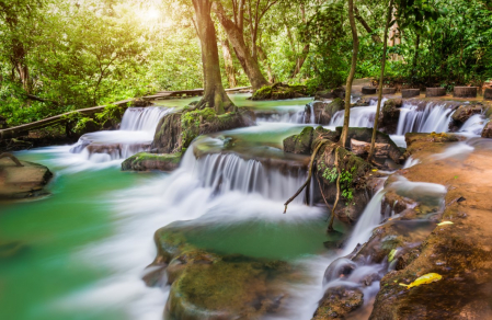 Tapet Premium Canvas - Cascada verde [1]