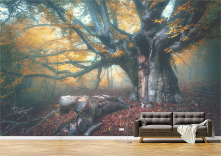 Peisaje - Tapet Premium Canvas - Copacul din padure
