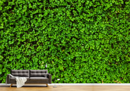 Flori - Tapet Premium Canvas - Covorul verde