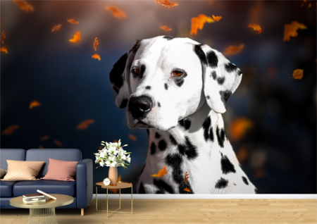 Animale - Tapet Premium Canvas - Dalmatianul si frunzele