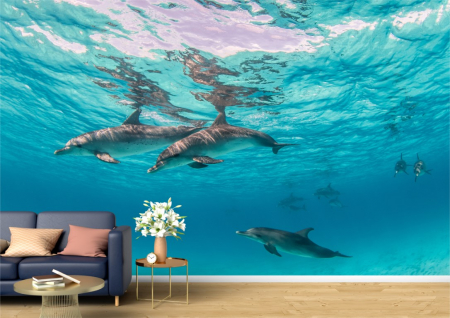 Animale - Tapet Premium Canvas - Delfini prin apele oceanului