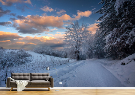 Peisaje - Tapet Premium Canvas - Drumul acoperit de zapada si cerul colorat