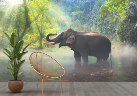 Animale - Tapet Premium Canvas - Elefant in apa