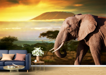 Animale - Tapet Premium Canvas - Elefant la apus