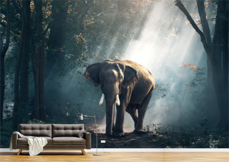 Animale - Tapet Premium Canvas - Elefantul din padure