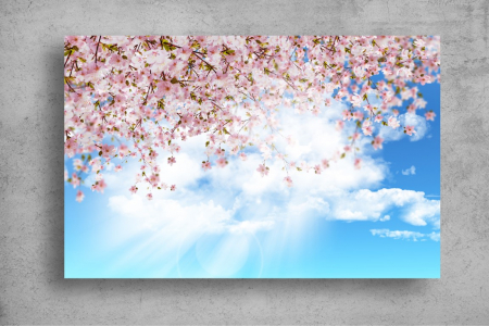 Tapet Premium Canvas - Flori colorate in mijlocul verii [1]