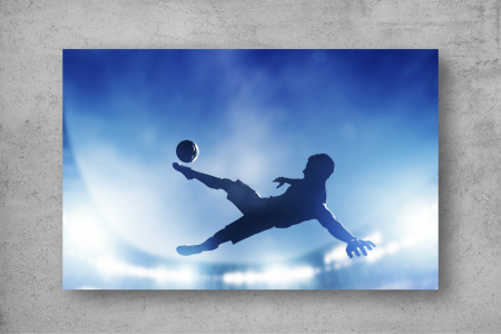 Tapet Premium Canvas - Fotbalist foarfeca [1]