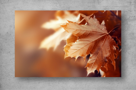 Tapet Premium Canvas - Frunzele rosiatice toamna [1]