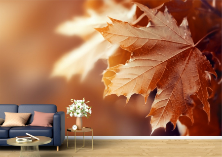 Peisaje - Tapet Premium Canvas - Frunzele rosiatice toamna