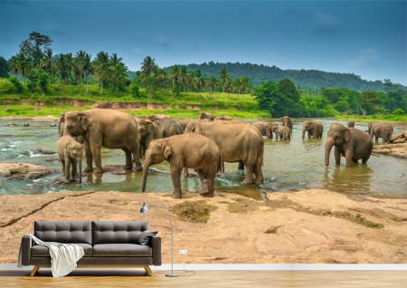 Animale - Tapet Premium Canvas - Grup de elefanti la lac