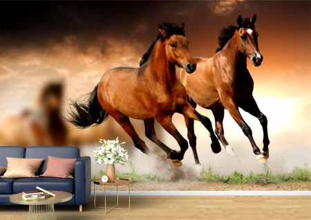 Animale - Tapet Premium Canvas - Intrecere de cai