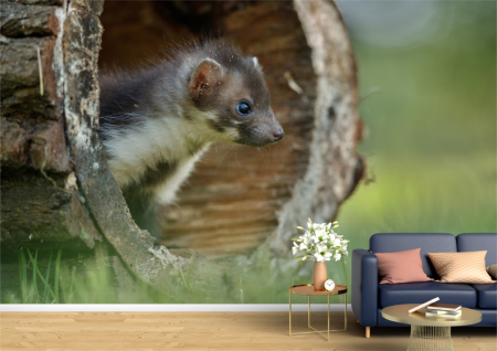 Animale - Tapet Premium Canvas - Jder in vizuina