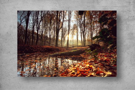 Tapet Premium Canvas - Lacul inconjurat de frunze si copaci [1]