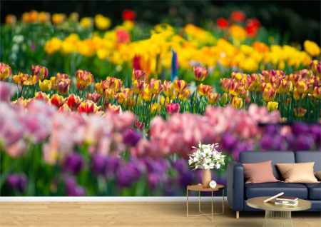Flori - Tapet Premium Canvas - Lalelele multicolore