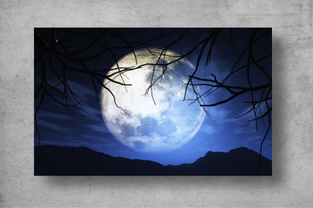 Tapet Premium Canvas - Luna plina printre crengile copacului [1]