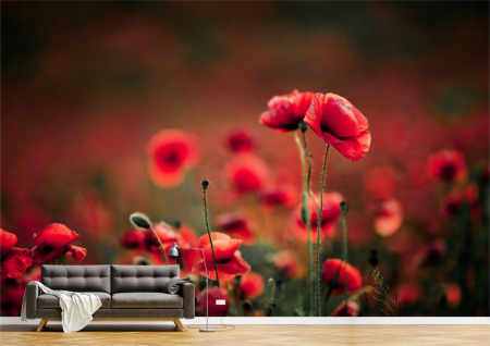 Flori - Tapet Premium Canvas - Macii in toiul verii