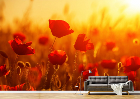 Flori - Tapet Premium Canvas - Macii rosii in lumina soarelui