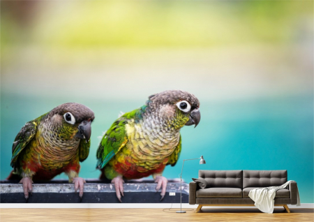 Animale - Tapet Premium Canvas - Papagalii verzi