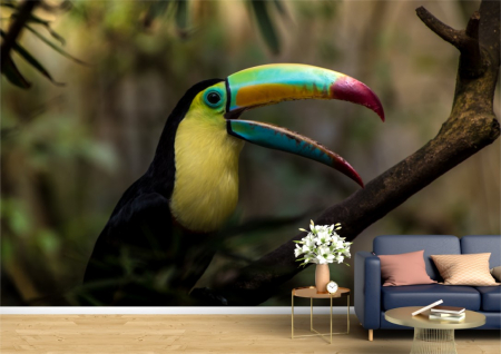 Animale - Tapet Premium Canvas - Papagalul cu ciocul colorat