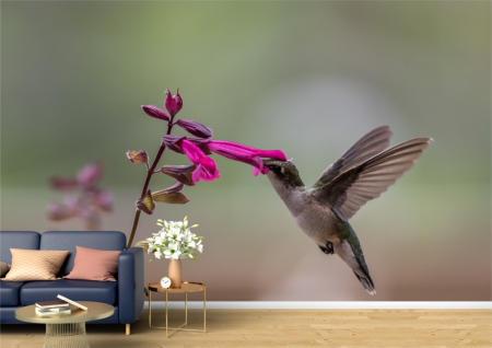 Animale - Tapet Premium Canvas - Pasarea colibri si floarea