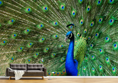 Animale - Tapet Premium Canvas - Paun cu coada colorata