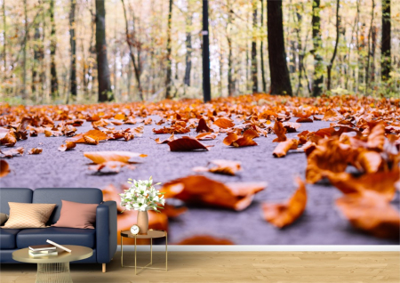 Flori - Tapet Premium Canvas - Peisaj de toamna cu frunze pe asfalt