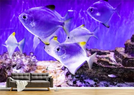 Animale - Tapet Premium Canvas - Pestii in ocean