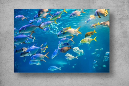 Tapet Premium Canvas - Pestii inotand prin ocean [1]