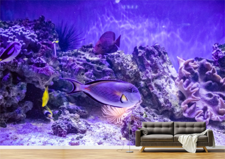 Animale - Tapet Premium Canvas - Pestii si reciful de corali
