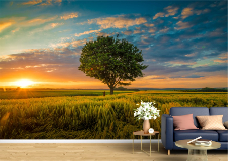 Peisaje - Tapet Premium Canvas - Pomul singuratic in lumina rasaritului