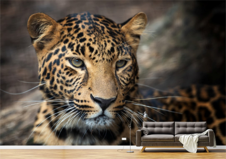 Animale - Tapet Premium Canvas - Portretul unui leopard