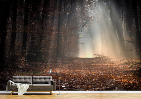 Peisaje - Tapet Premium Canvas - Poteca prin padure in lumina razelor soarelui