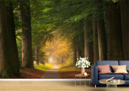 Peisaje - Tapet Premium Canvas - Poteca printre copacii inverziti